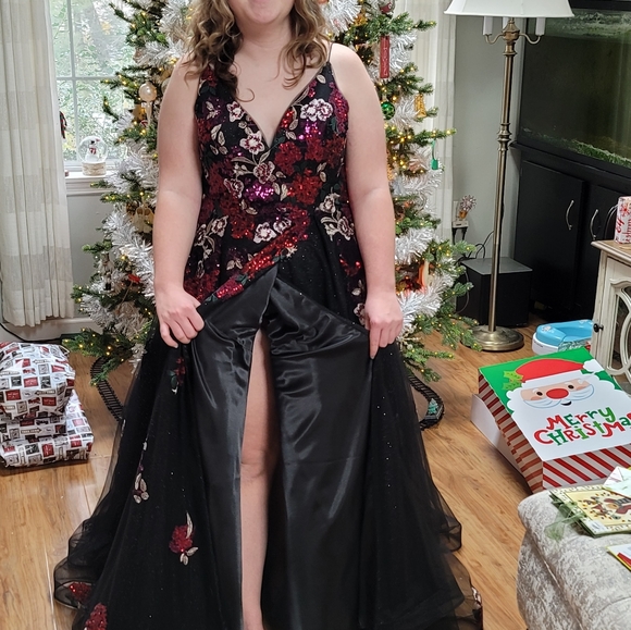 Colette by Daphne Ballgown 12069 Like new! - Picture 4 of 11